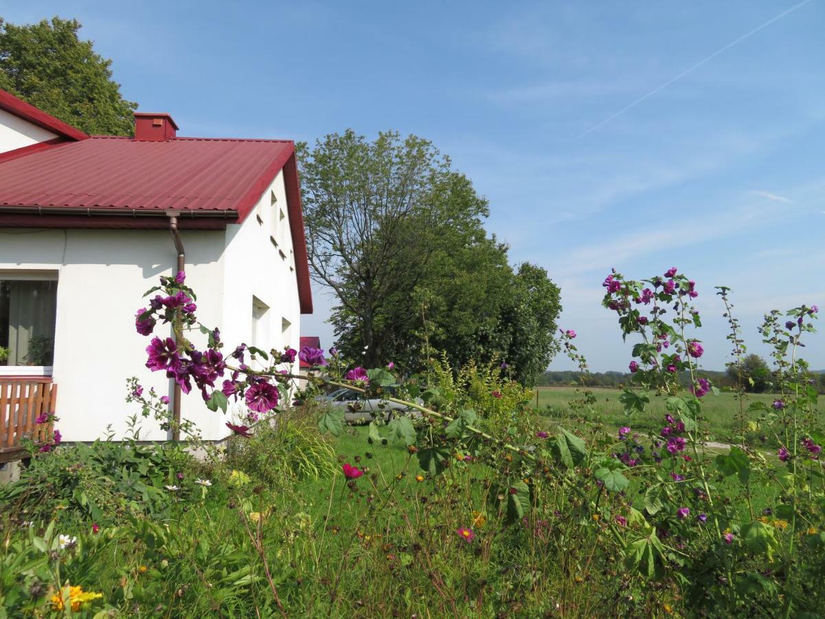 Agrocamp Villa Pawlowka  Eksteriør bilde